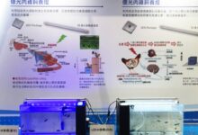 New hope for grouper fingerlings! Everlight Electronics and the National Taiwan University’s team have developed LED lamps especially for groupers!
